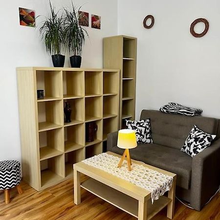 Ferienwohnung Starowislna 66 Krakau Exterior foto
